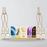 Airganic Pack 4 Aroma Swing Hanging Car Perfume