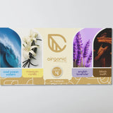 Airganic Pack 4 Aroma Swing Hanging Car Perfume