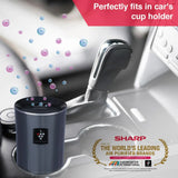Sharp IG-GC2E Car Air Purifier