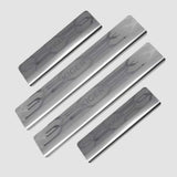 Galio Renault Kiger Stainless Steel Sill Guard