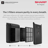 Sharp FP-JC2M-B Car Air Purifier